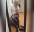 Anamur'da Ateşli ve Tutkulu Bir Gece için Çılgın Seçenek: Anamur Escort Bayan