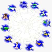 Yenişehir ve Mezitli Bölgesinin Yenilikçi ve Tutkulu Escort Bayanı – Sude